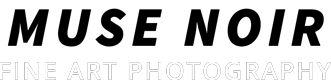 musenoir.at